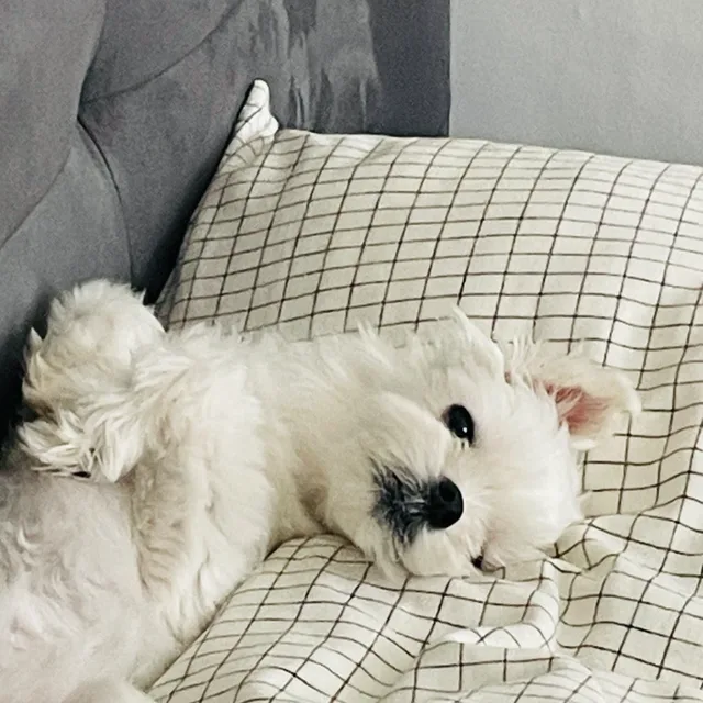 남성역문지기
