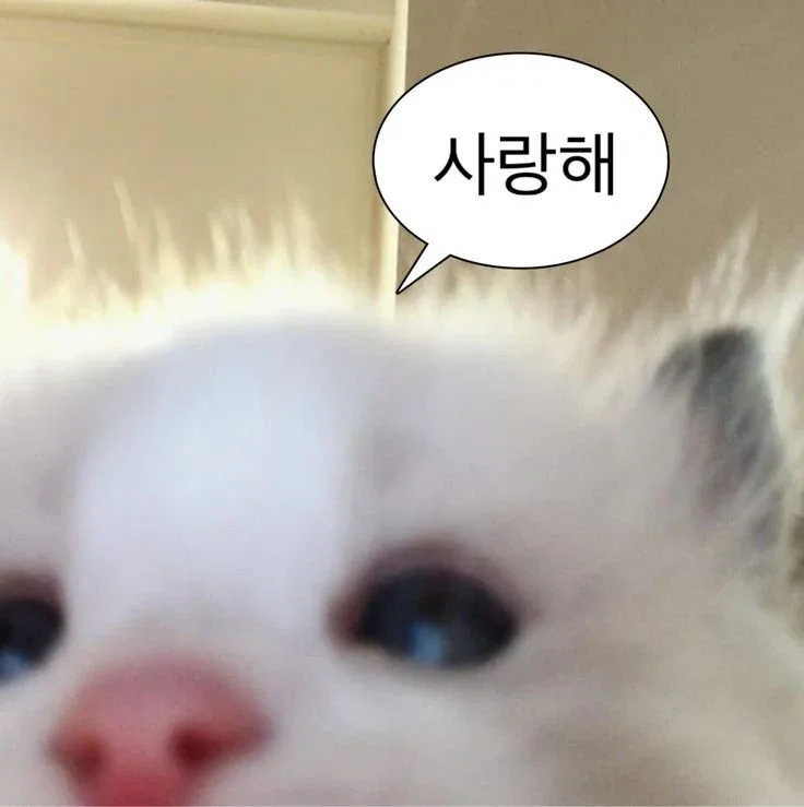 비대면으로만거래해요