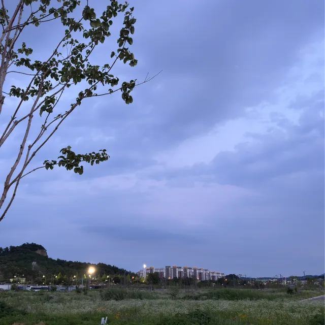 돌맹