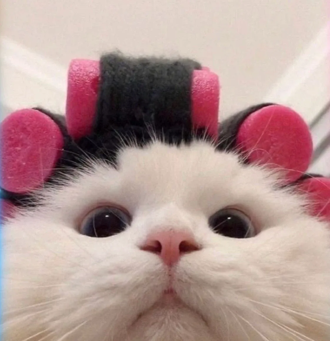 미니멀