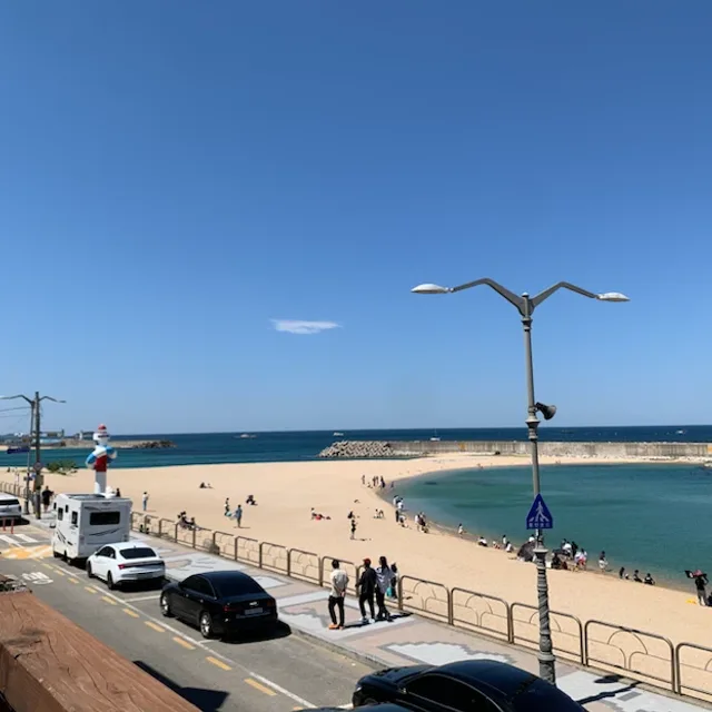 운동의계절