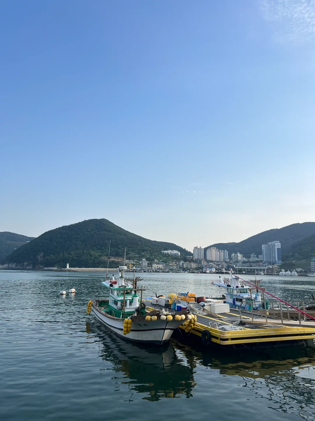 꿀겨자