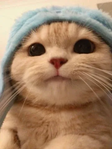 먀먀
