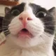 당근당근당근당근당근
