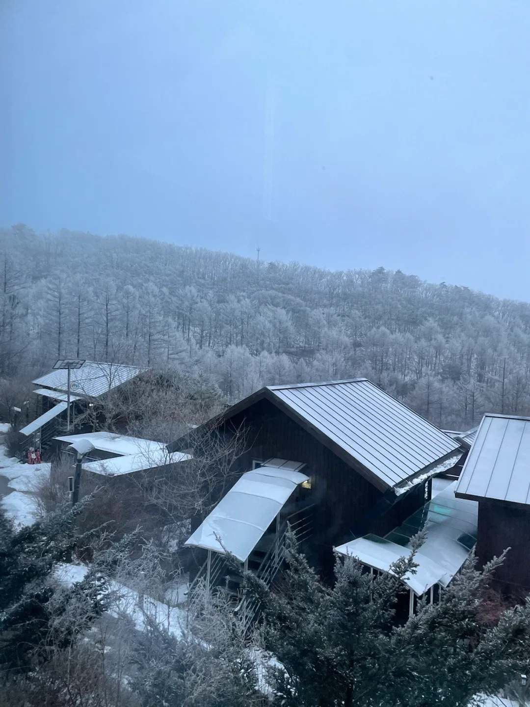 조타