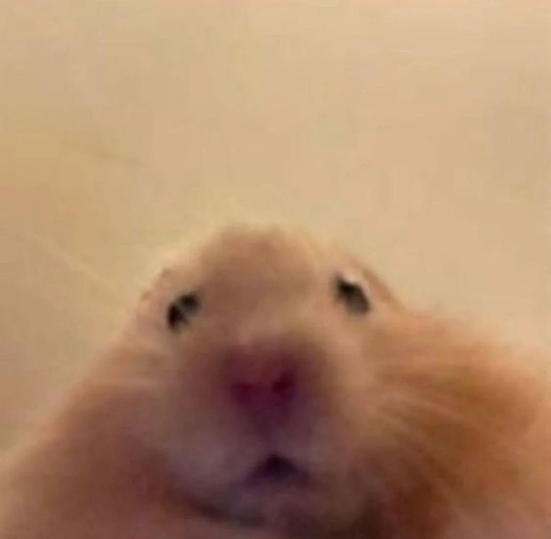 공부좀해
