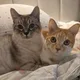 이뿌둥이