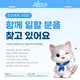메가인슈에셋