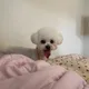 오육둘삼