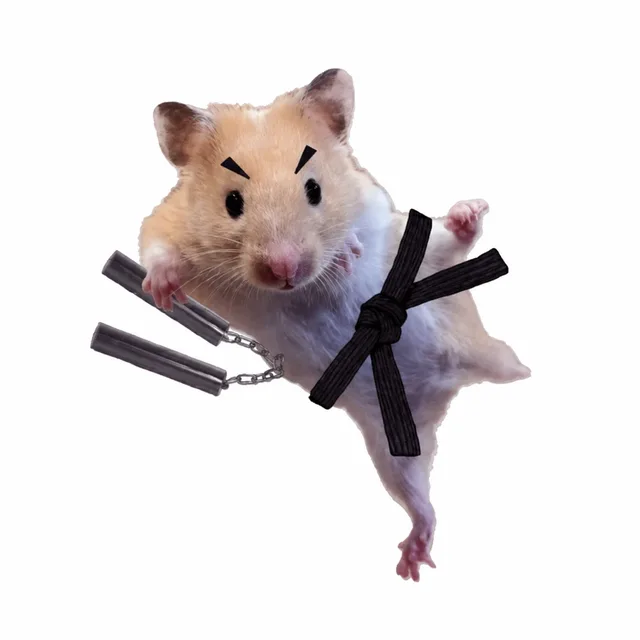 이단햄차기