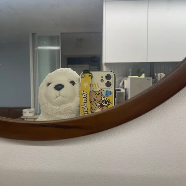 똥깨