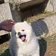 서이마켓