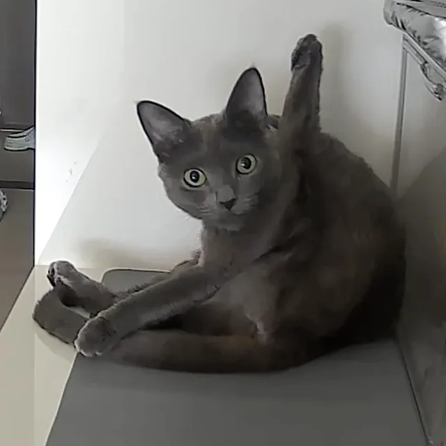탐라