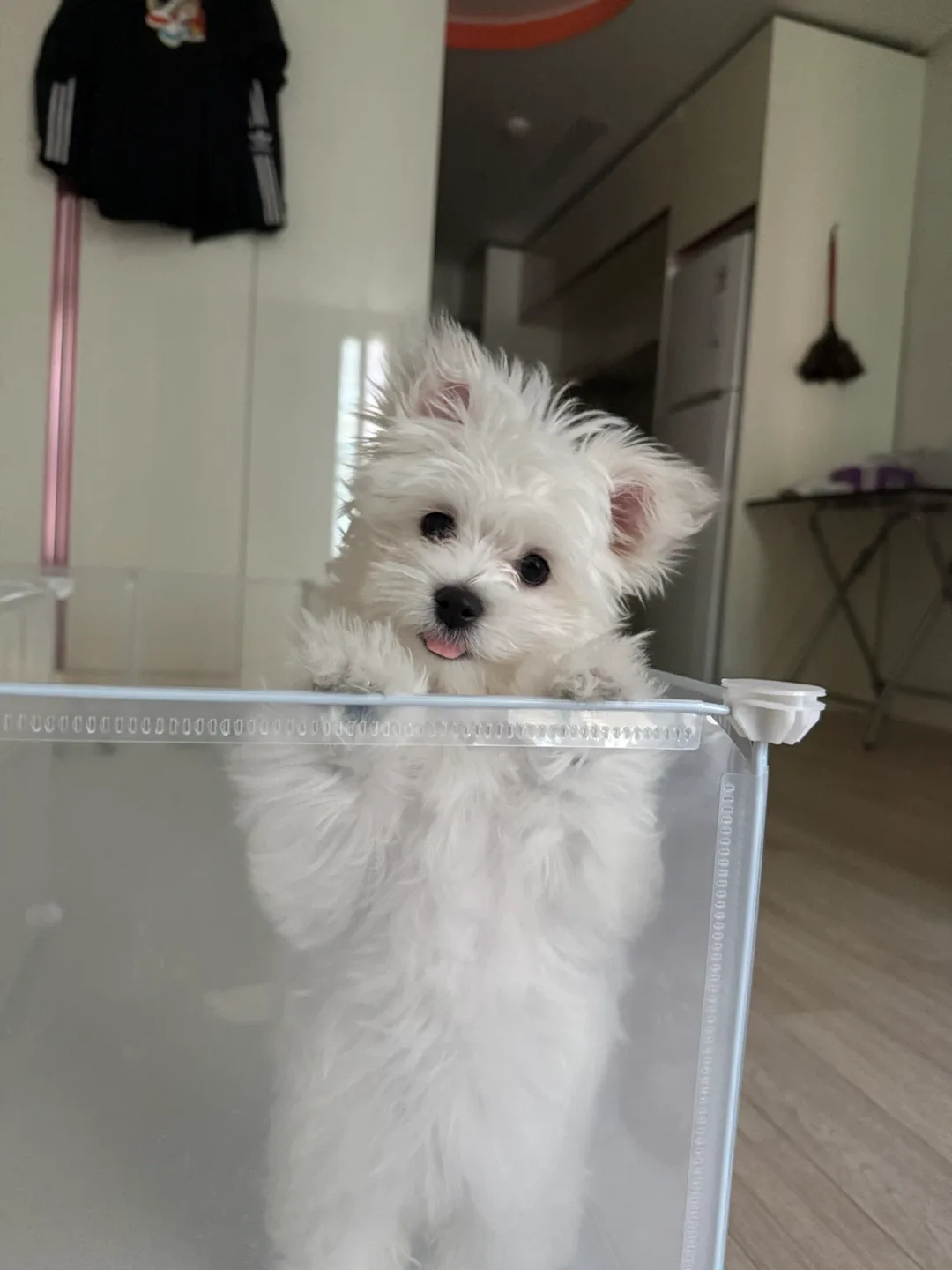 매우겸손