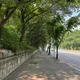 수지정평