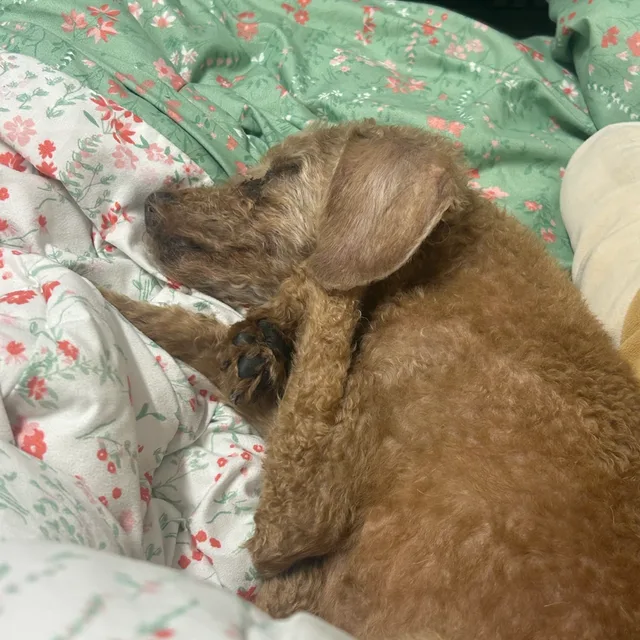 윤슬이