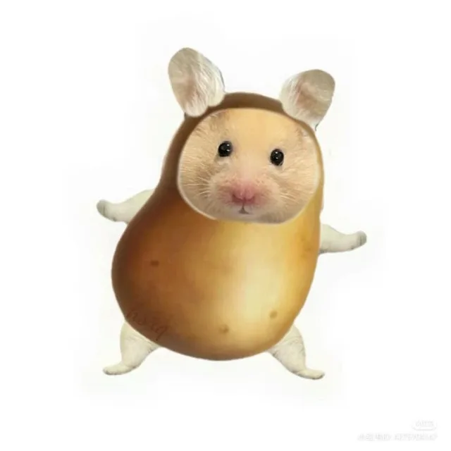 휘뚜루마뚜루
