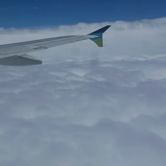 Hi