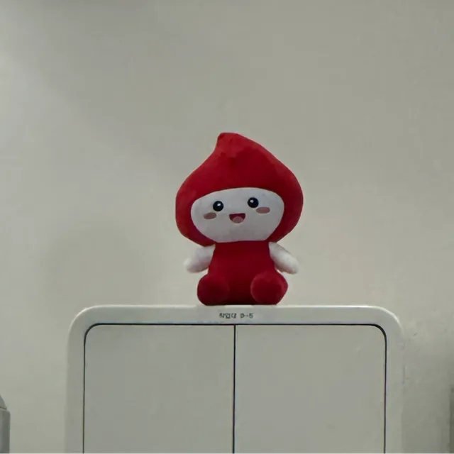 나눔이
