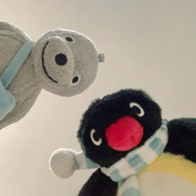 당근해요