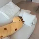 키티여왕