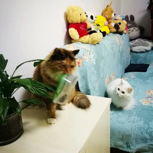 써니야322