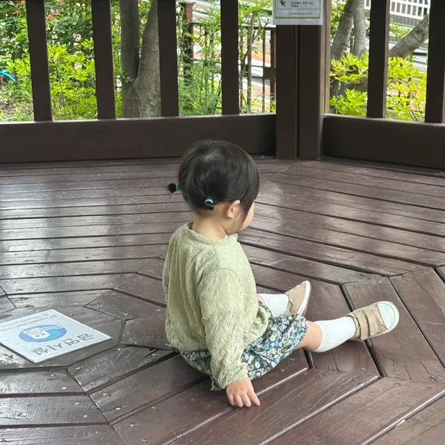 마요아빠