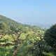 료마