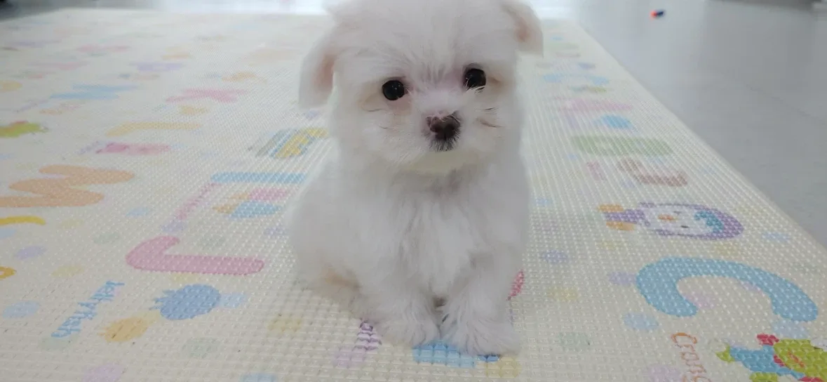 제매물봐주세요