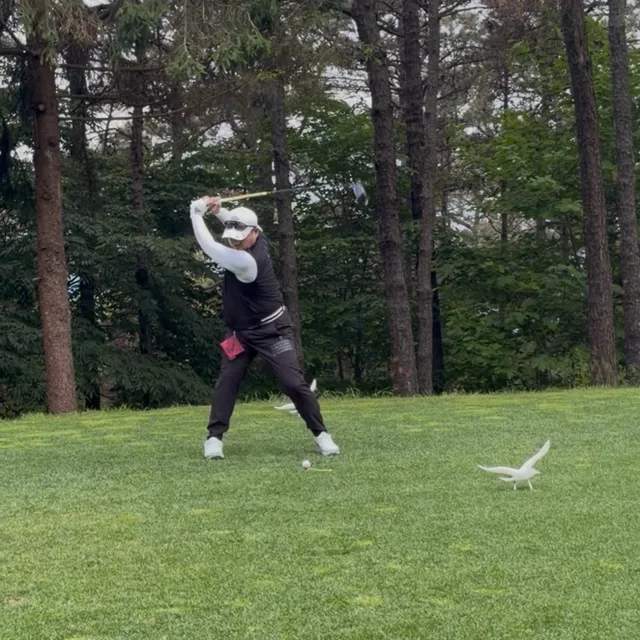 청라몽이