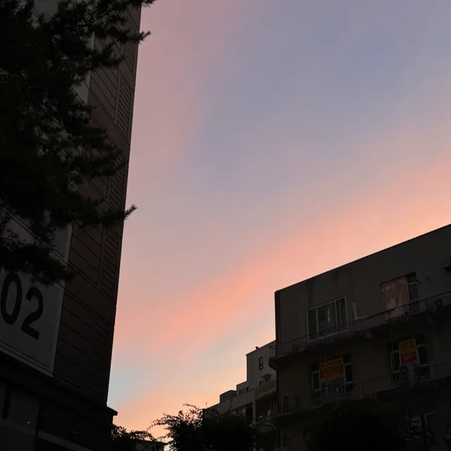 젼2