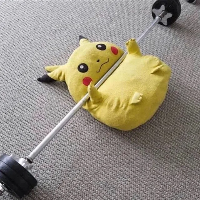고양아치