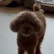일어나서독서하는주민