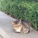 퐁당퐁당