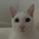 춘자