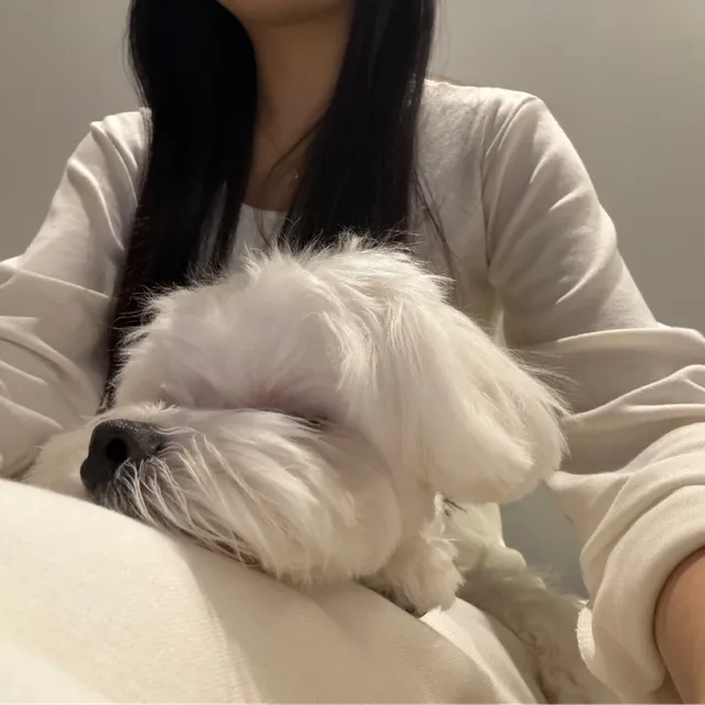 핑크