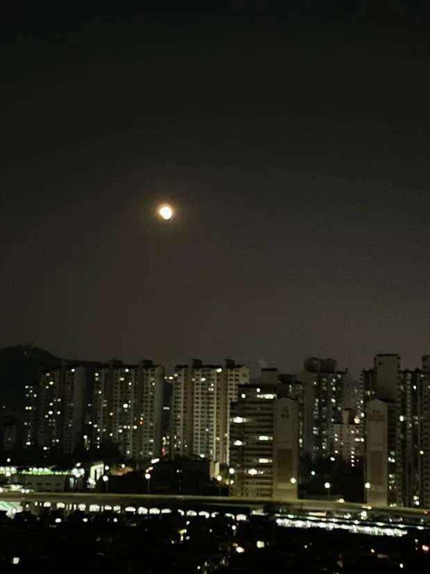 거래합시당