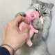 정하루