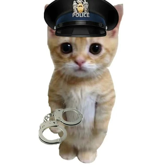 경찰고양이