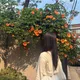 rowa