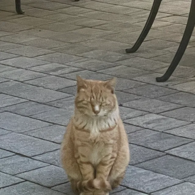 마린
