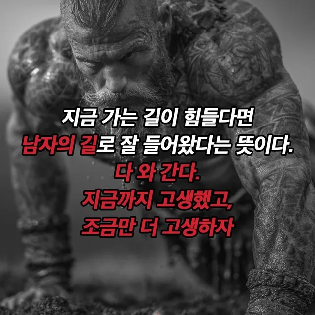 숫컷들의인생