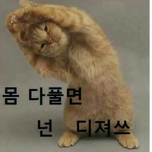 매화녀
