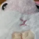 상추