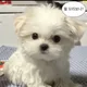 김당근