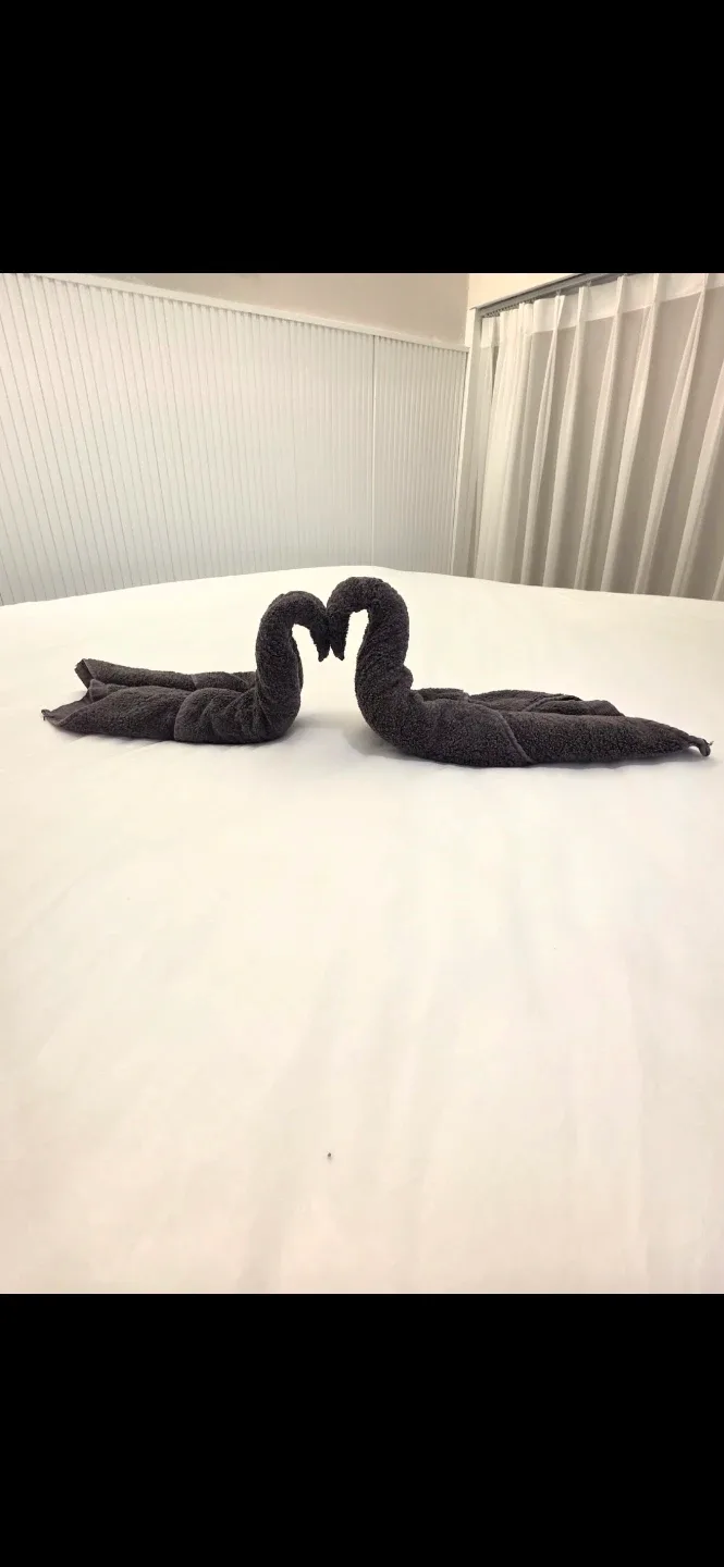 디지