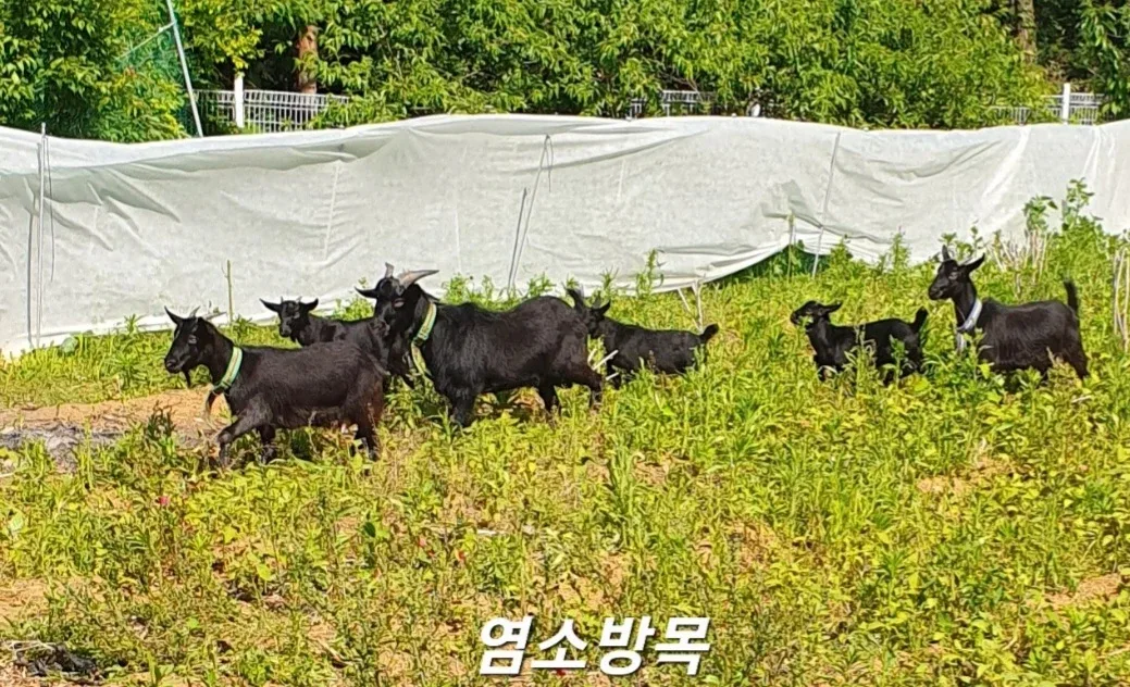 다물농장