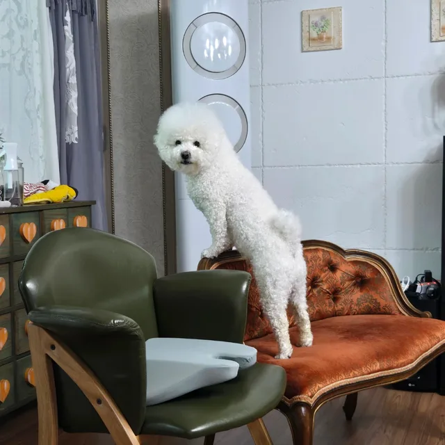 쿵따리맘