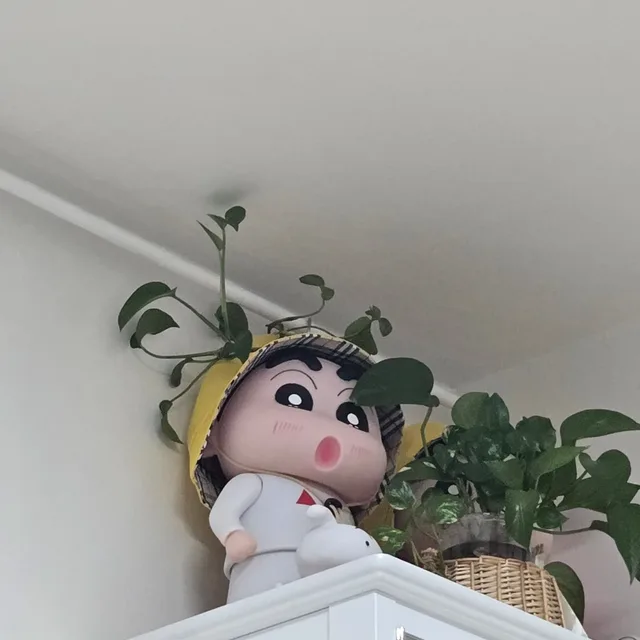 오징어땅꽁