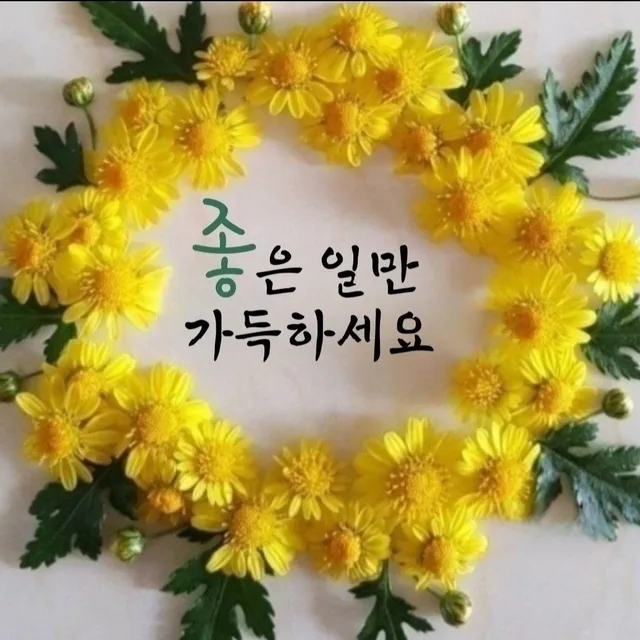 좋은하루